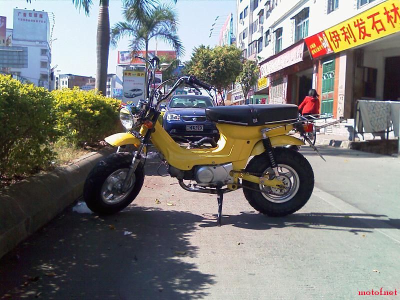 IMAG0022.jpg