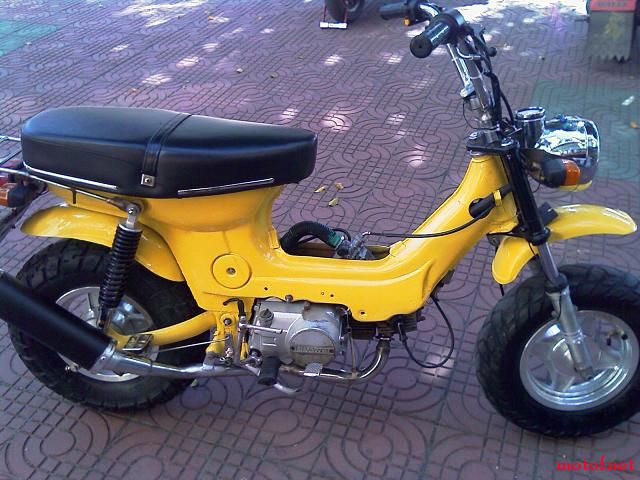 IMAG0033.jpg