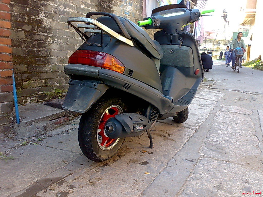 20081113020.jpg