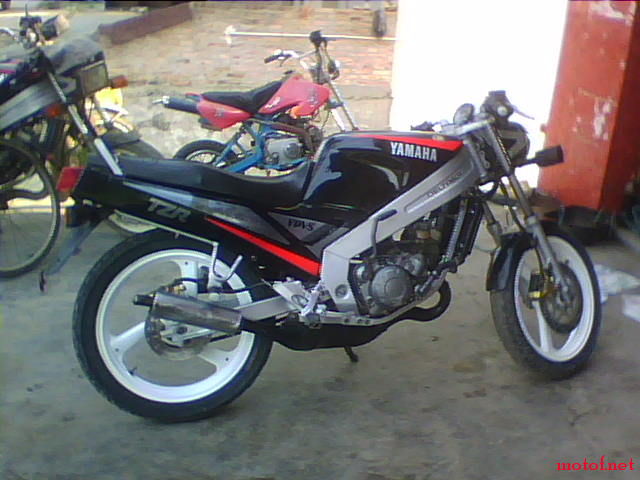 IMG0106A.jpg