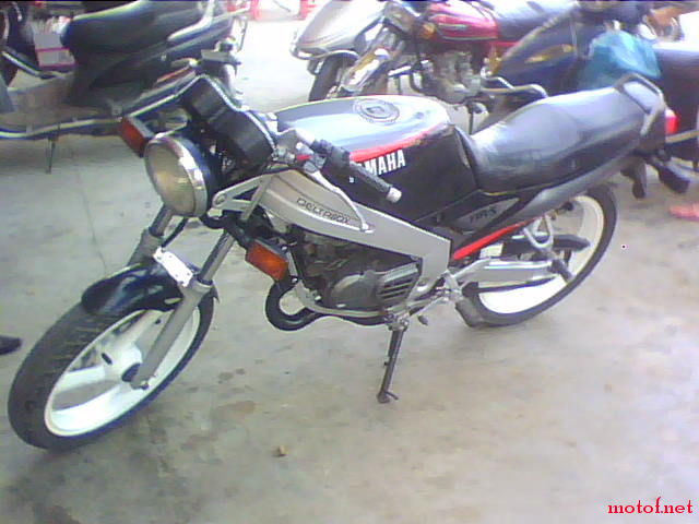 IMG0107A.jpg