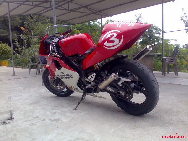 20081016179.jpg
