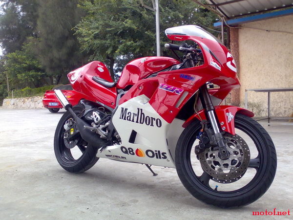 20081016178.jpg