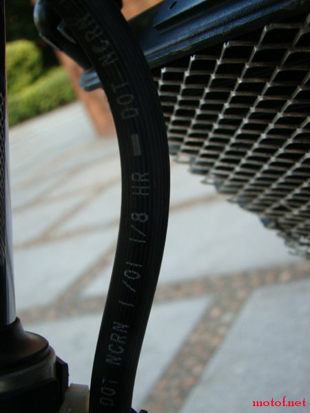 DSC01698_缩小大小.JPG