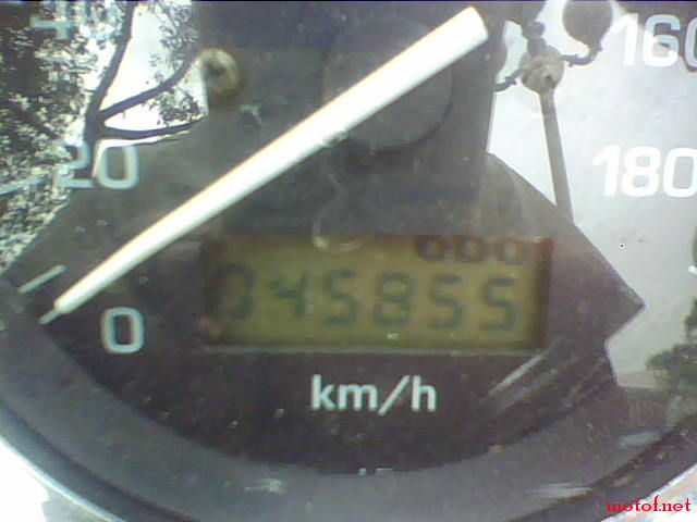 IMG0080A.jpg