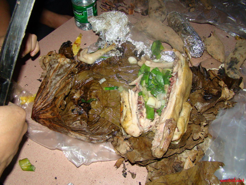 DSC01751_缩小大小.JPG