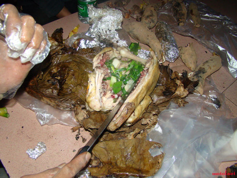 DSC01748_缩小大小.JPG
