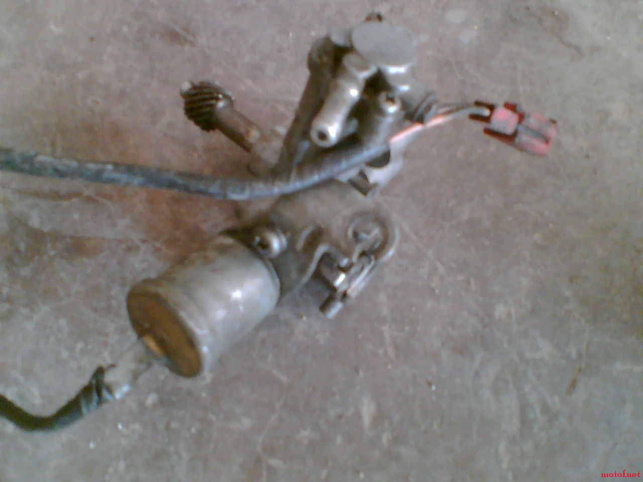 Image(063).jpg