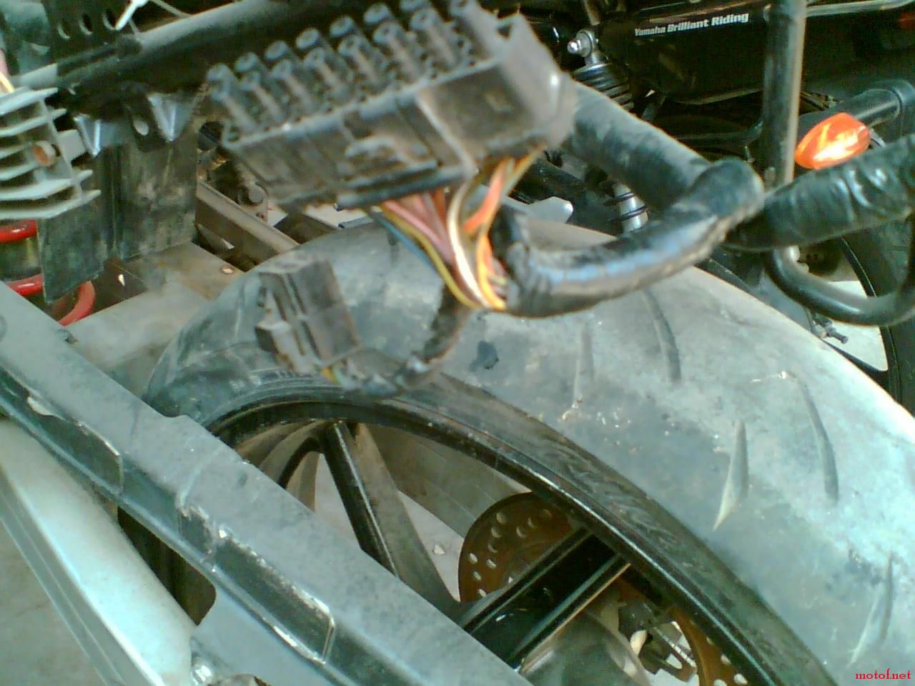 Image(090).jpg