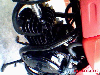 IMG0194A.jpg
