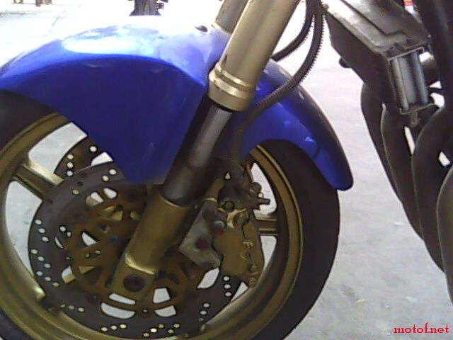 IMG0187A.jpg