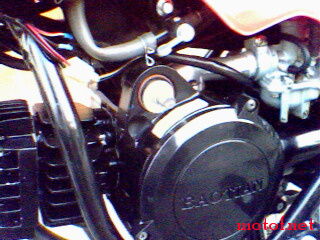 IMG0195A.jpg