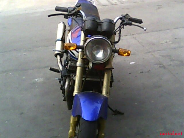 IMG0185A.jpg