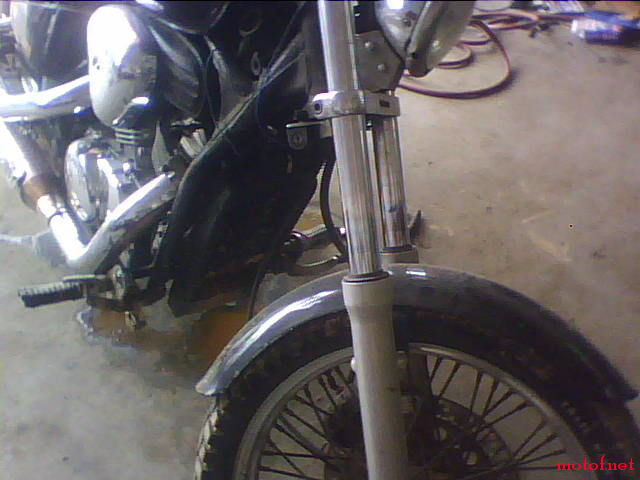IMG0208A.jpg