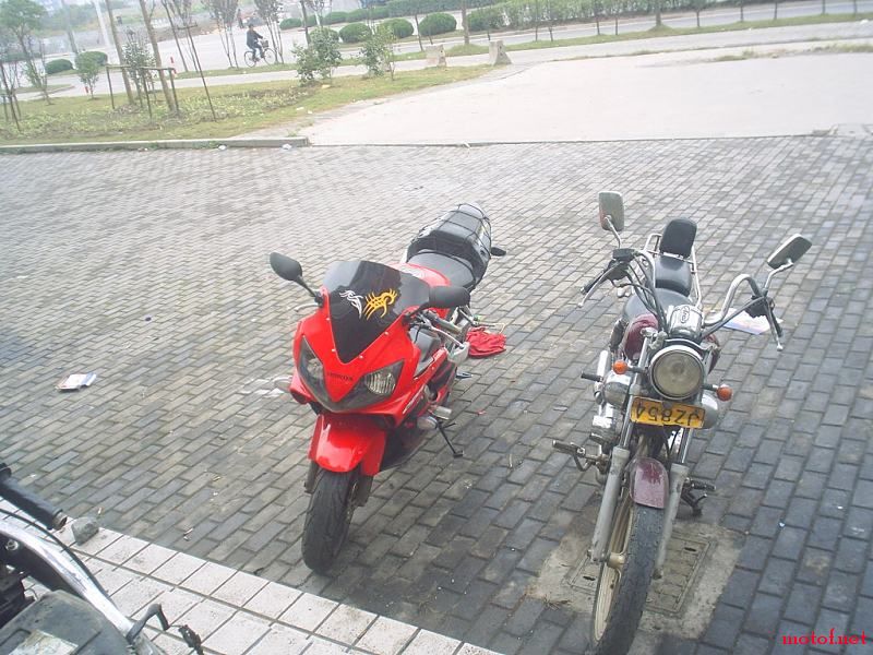 S3010854.JPG