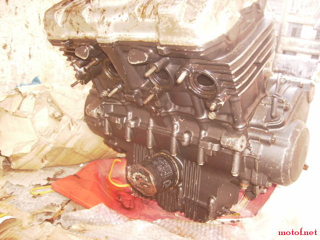 PA220272.JPG