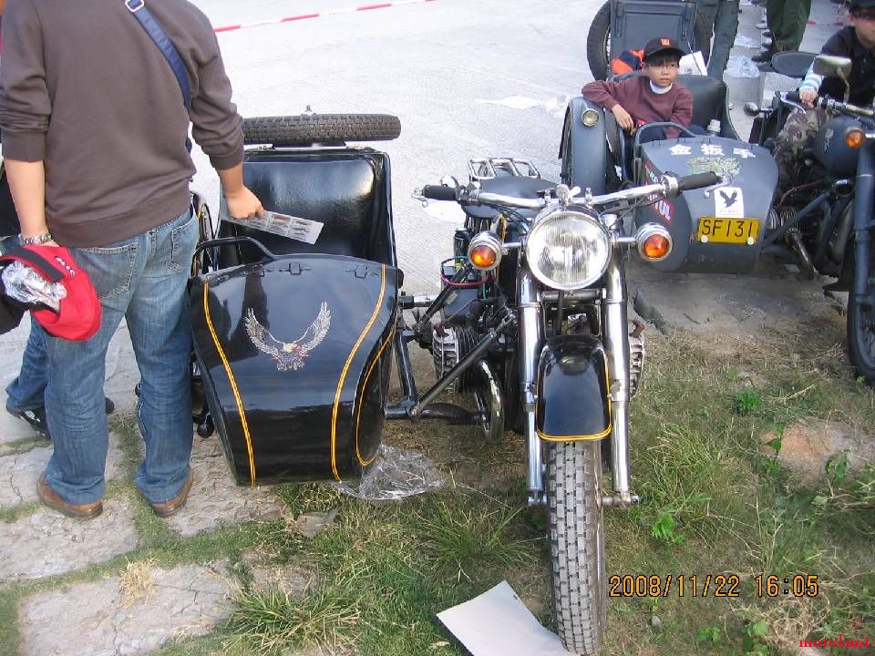 BigBull_IMG_0424.JPG