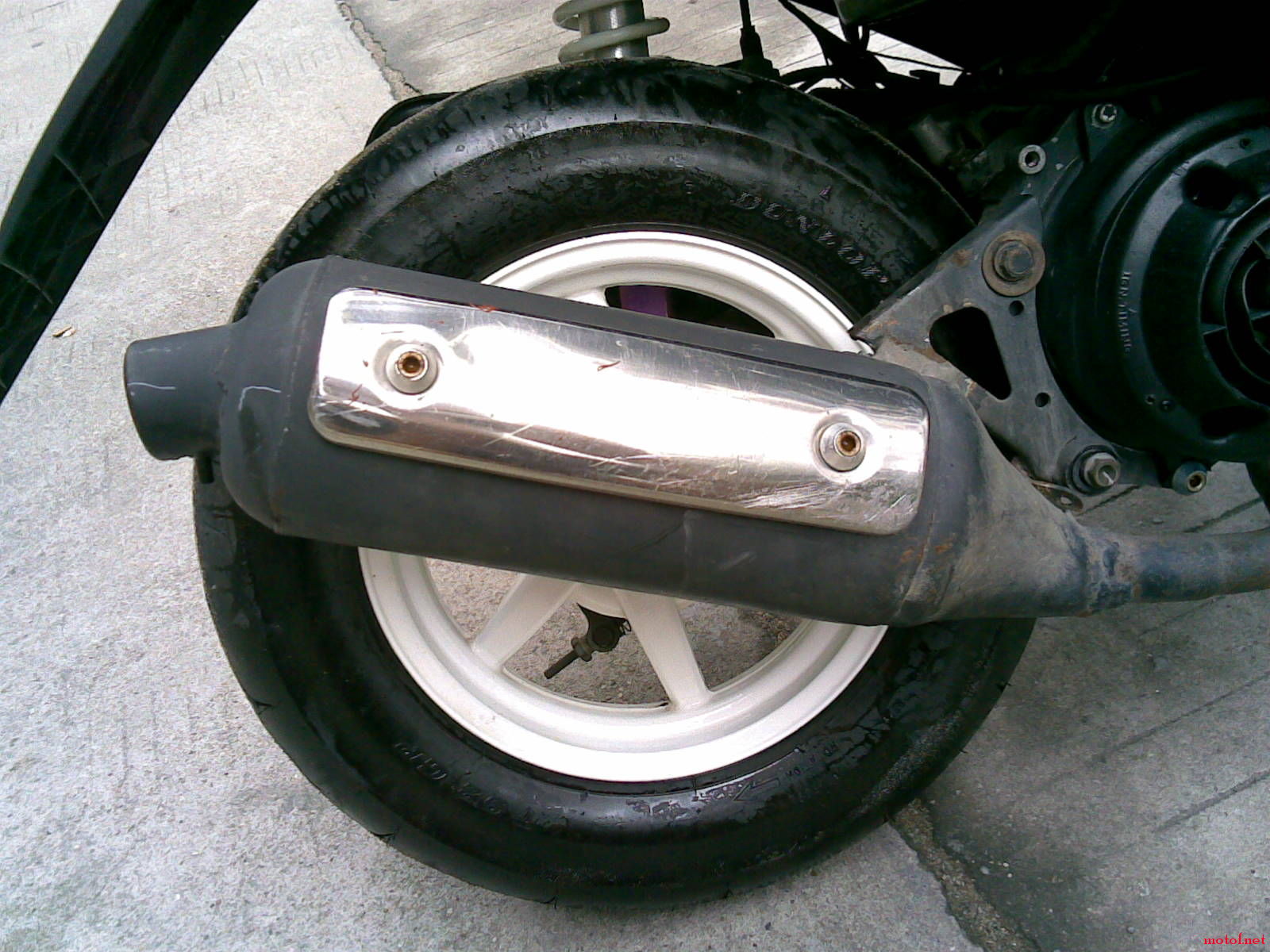 20081108(002).jpg