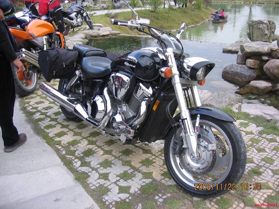 BigBull_IMG_0432.JPG