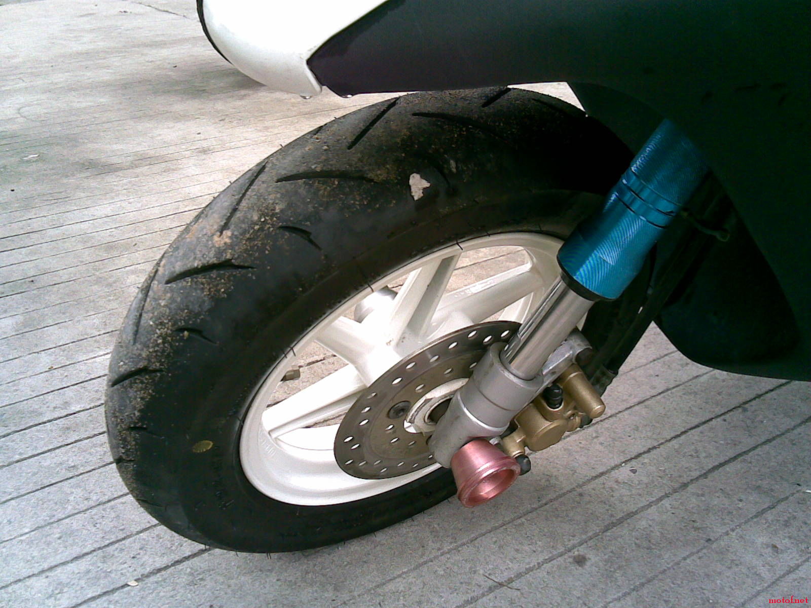 20081108(004).jpg