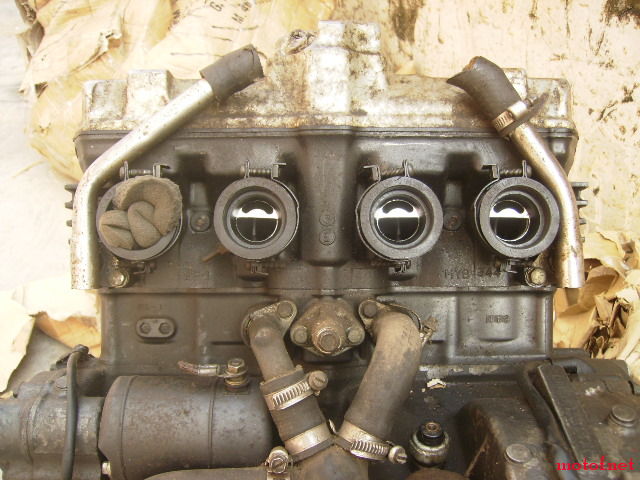 PA220274.JPG