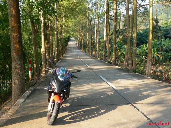 P1020861.jpg