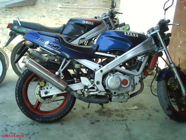 DSC00031.JPG