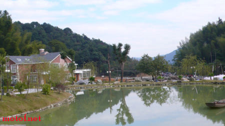 P1050783.jpg