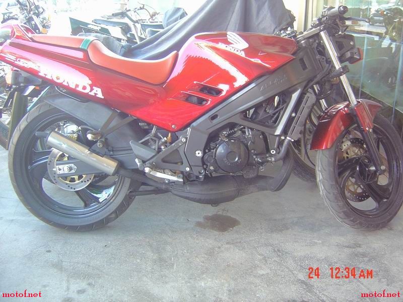 20081124_a1a515e9e57ada075c635yvM8mitO62k.jpg