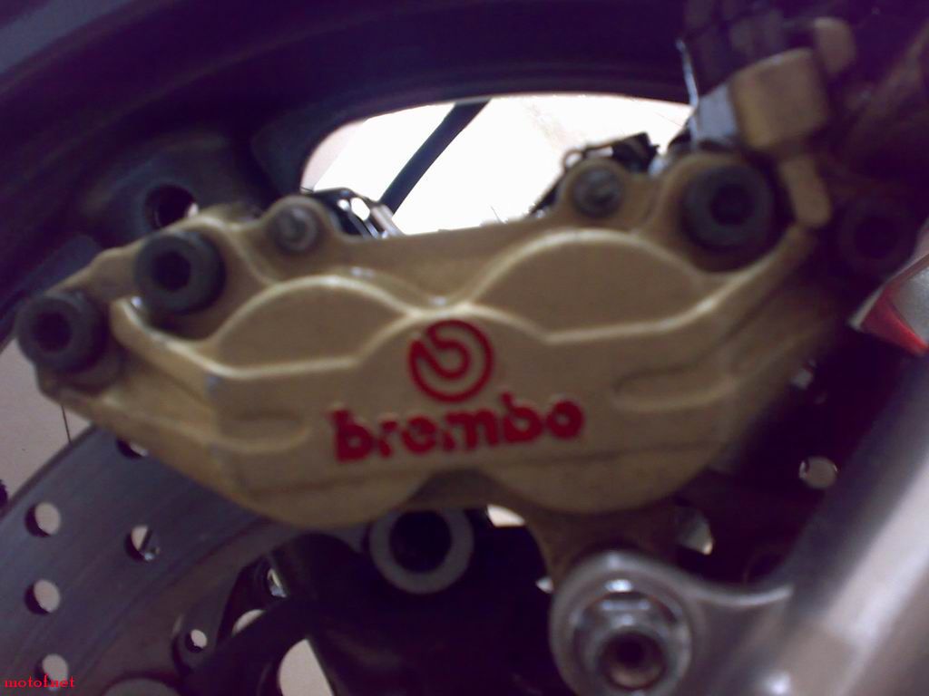 20081126344.jpg