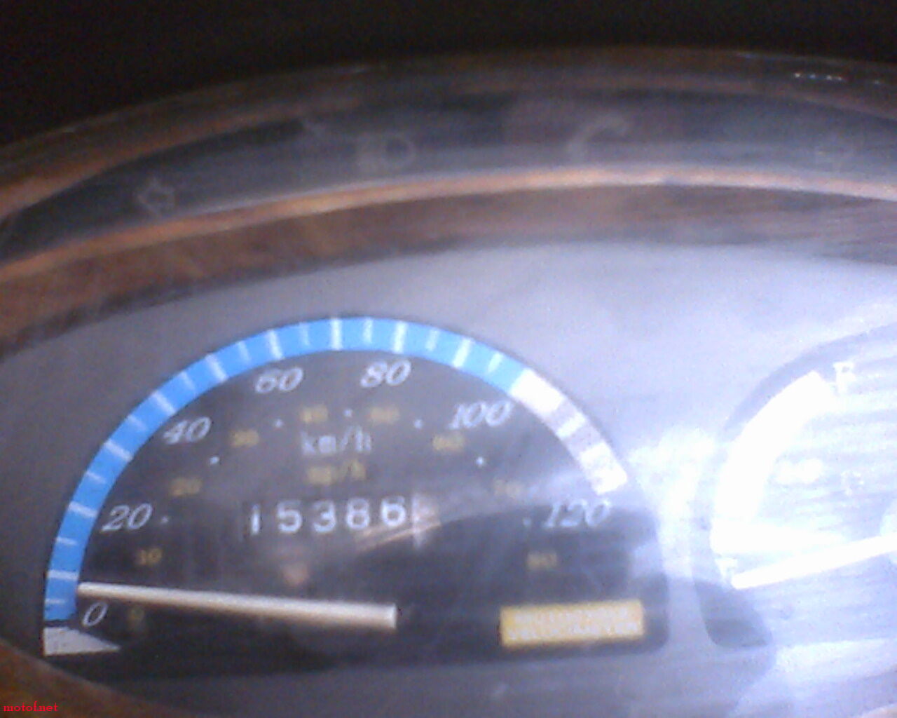 IMG0178A.jpg