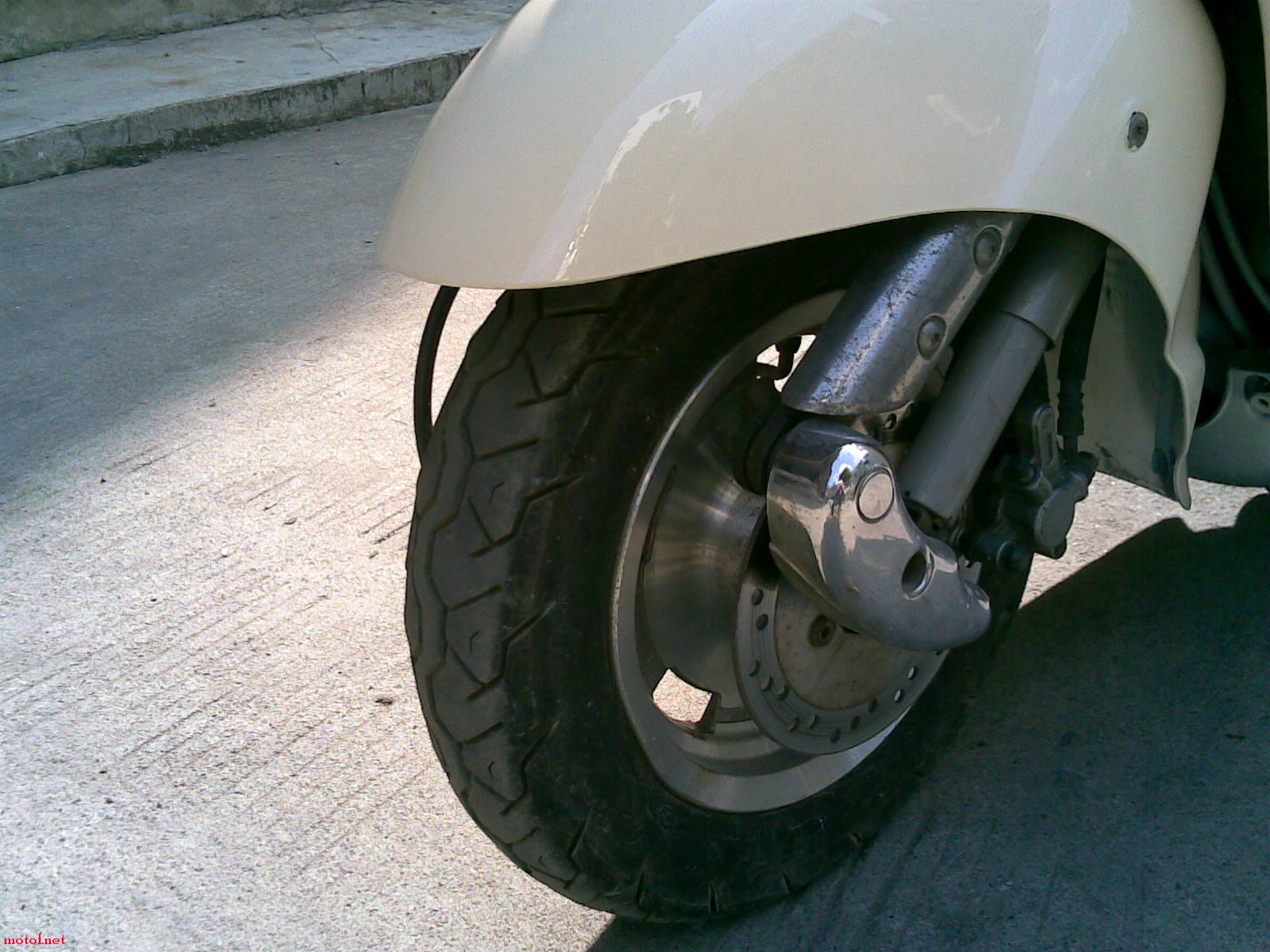 20081119(002).jpg