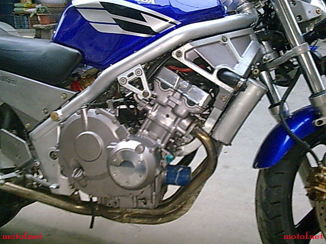 20081105_08760f03706363cb023dwsXF3q7JNDjj.jpg