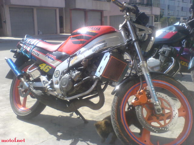 DSC07586.JPG