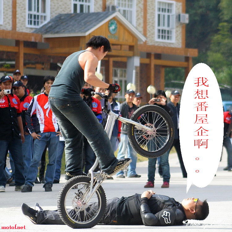 87.jpg