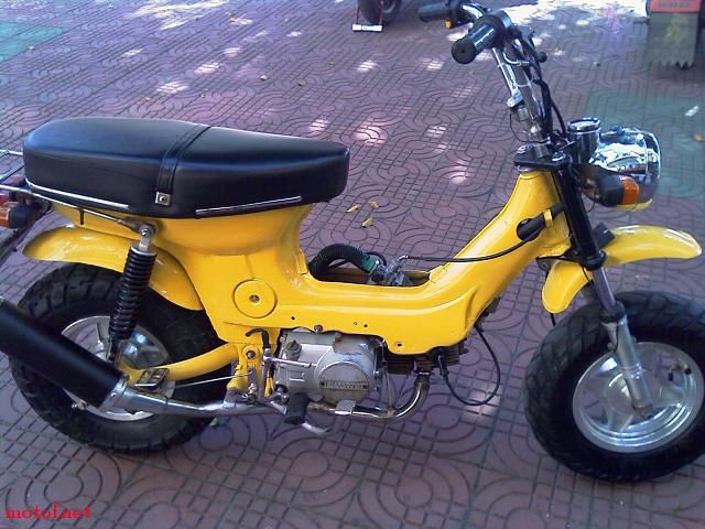 IMAG0033.jpg
