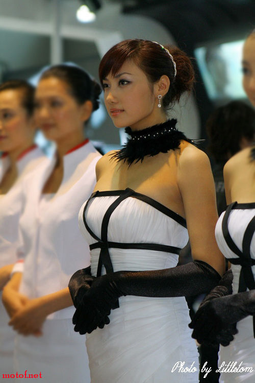20081129_f5799abfac26029a69dayIMhER8ejlRL.jpg
