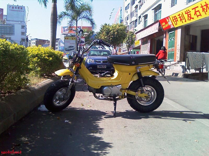 IMAG0022.jpg