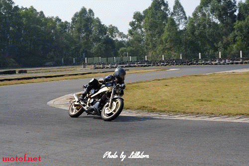 T1.gif
