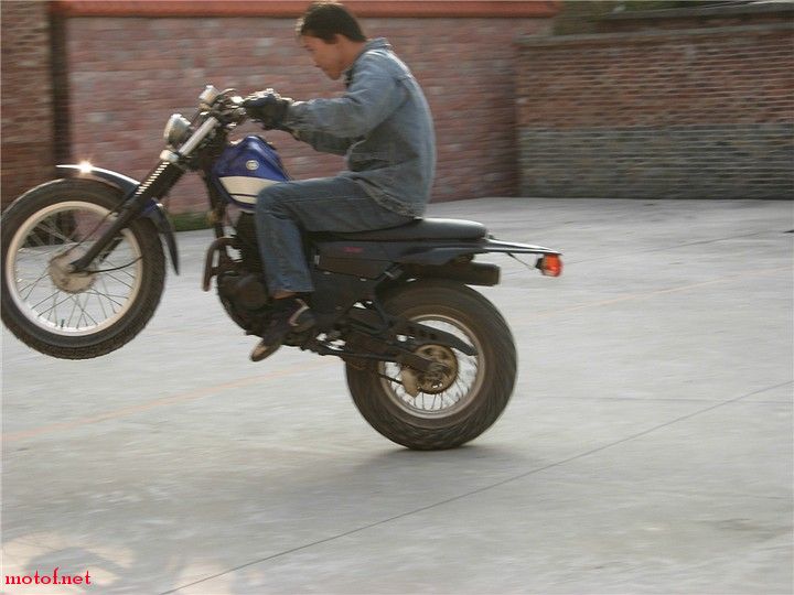 173558489_49390.jpg