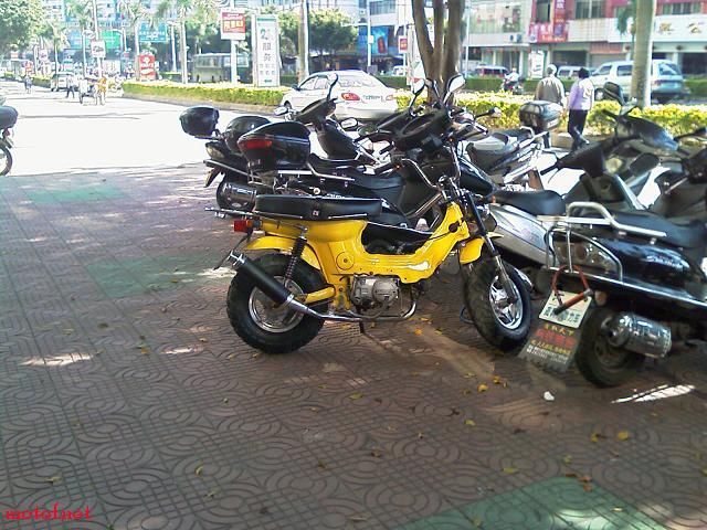 IMAG0036.jpg