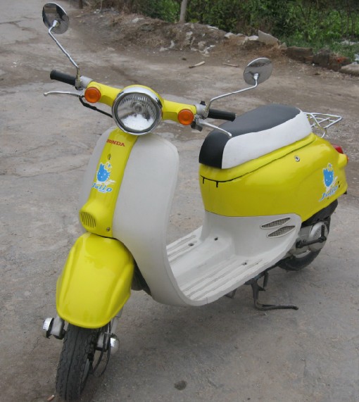 2冲龟.jpg