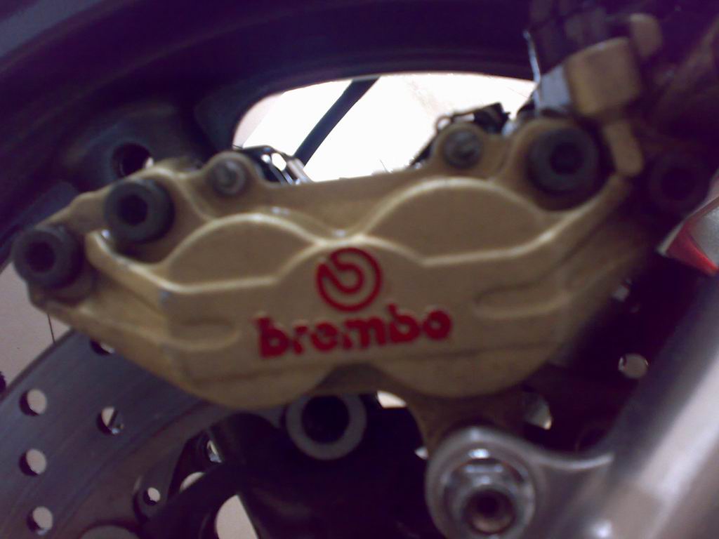 20081126344.jpg