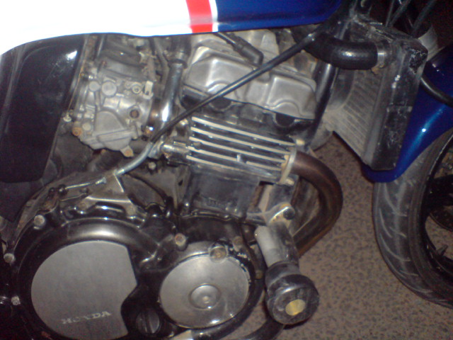 DSC00038.JPG