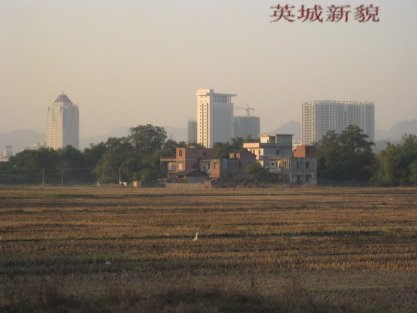 IMG_1262.jpg