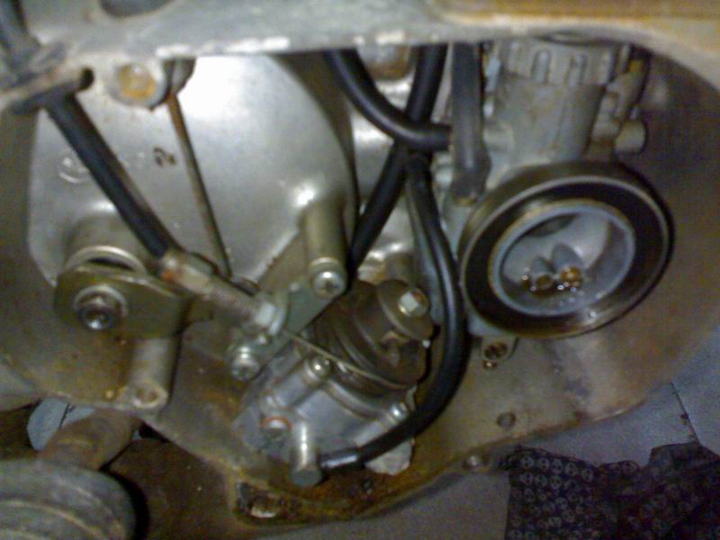 20081202358.jpg