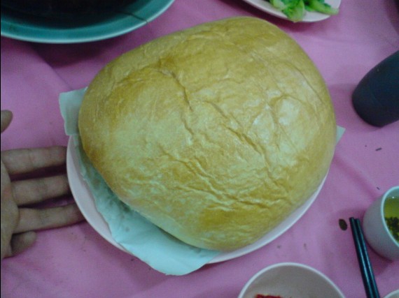 46.jpg