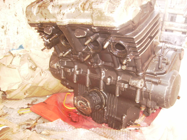 PA220272.JPG
