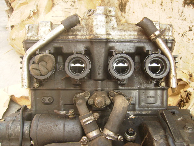 PA220274.JPG