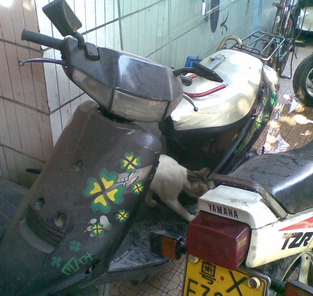 20081121020.jpg.jpg